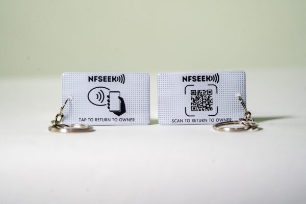 NFSeek Retrieve: Epoxy Keychain (5 Pack)